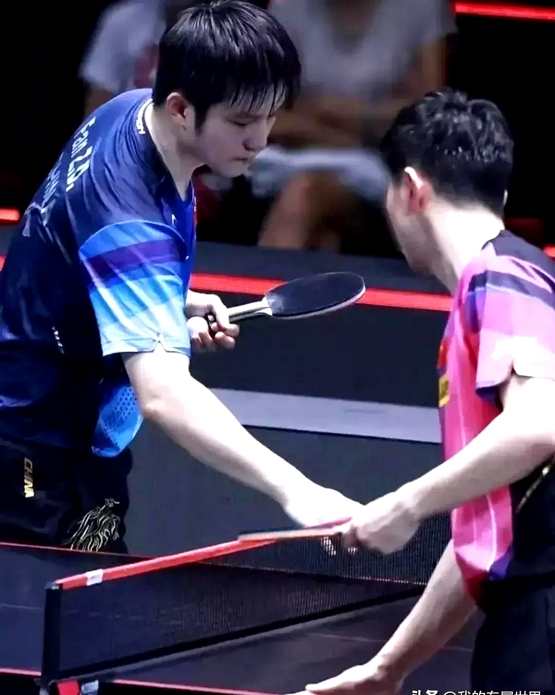 开云体育直播-奥地利乒乓球队力克德国乒乓球队，马龙制霸全场的简单介绍