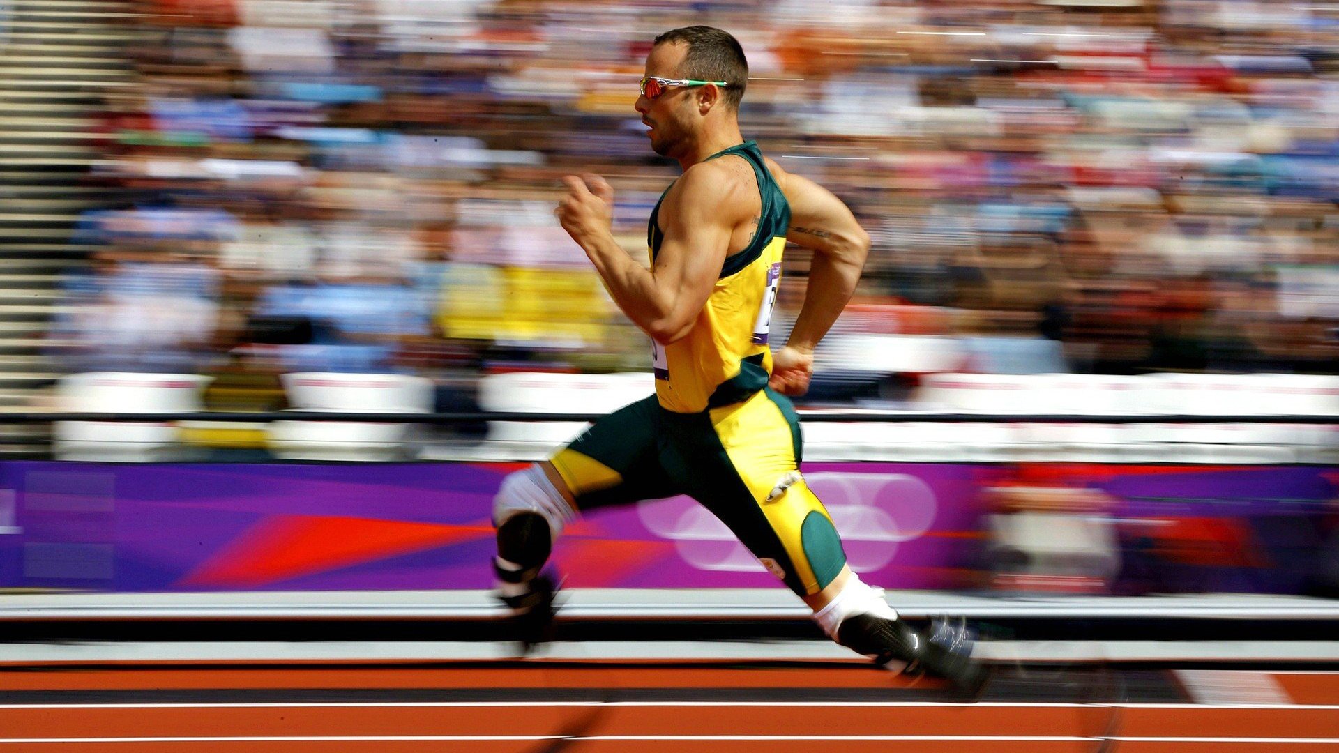 开云体育中国-独行侠打穿深圳队,福克斯彻底打爆防线,一场战术与天赋的完美风暴